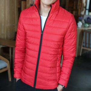 Short Stand-up Collar Padded Jacket To Keep Warm And Slim Winter Clothes In Winter